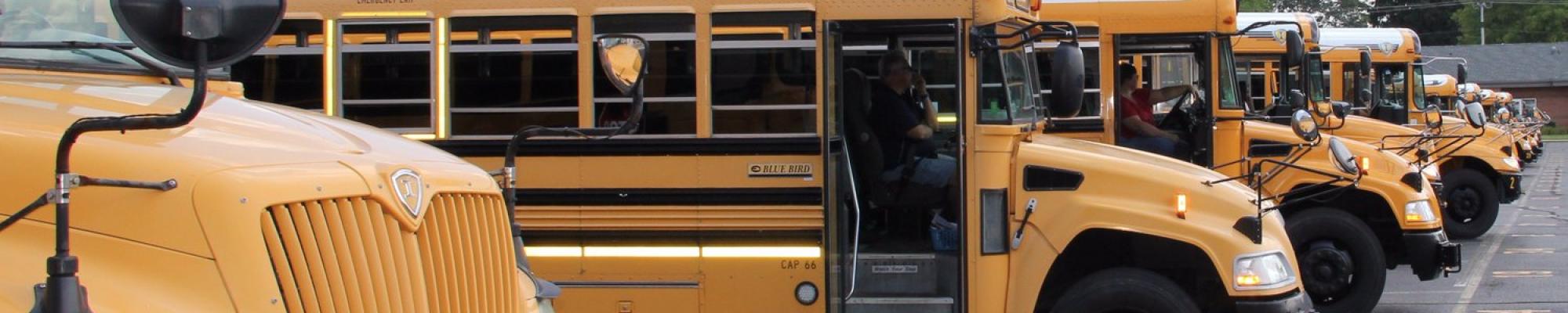 buses