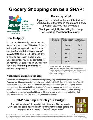 SNAP Groceries Flyer